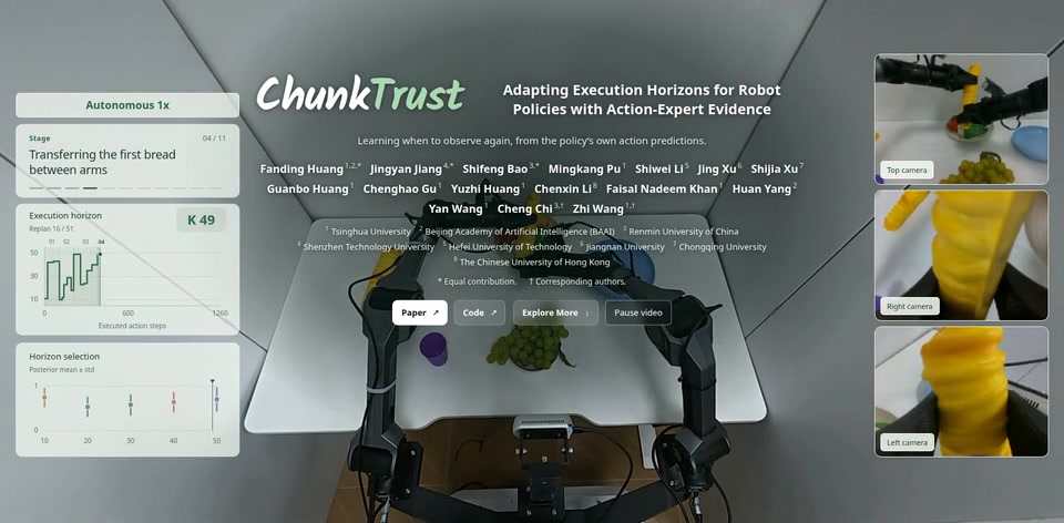 ChunkTrust project-page preview